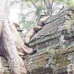 BIKING 2days/1night ANGKOR WAT