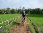 Visit the paddy/BIKING MEKONG DELTA 