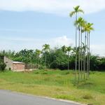 Hoi An - countryside