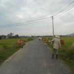 BIKING full day NHA TRANG COUNTRYSIDE - GOING HOME