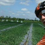 BIKING full day SAIGON to MY THO - MEKONG DELTA