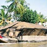 BIKING 2days/1night SAIGON to VINH LONG - MEKONG DELTA