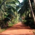 BIKING 2days/1night SAIGON to VINH LONG - MEKONG DELTA