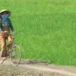 BIKING 4days/3nights SAIGON to VINH LONG to TRA VINH to CAN THO - MEKONG 