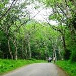 BIKING 4days/3nights HA NOI to MAI CHAU to CUC PHUONG