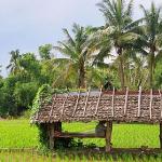 THAILAND OVERVIEW