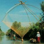 VIETNAM OVERVIEW - FISHING IN MEKONG DELTA